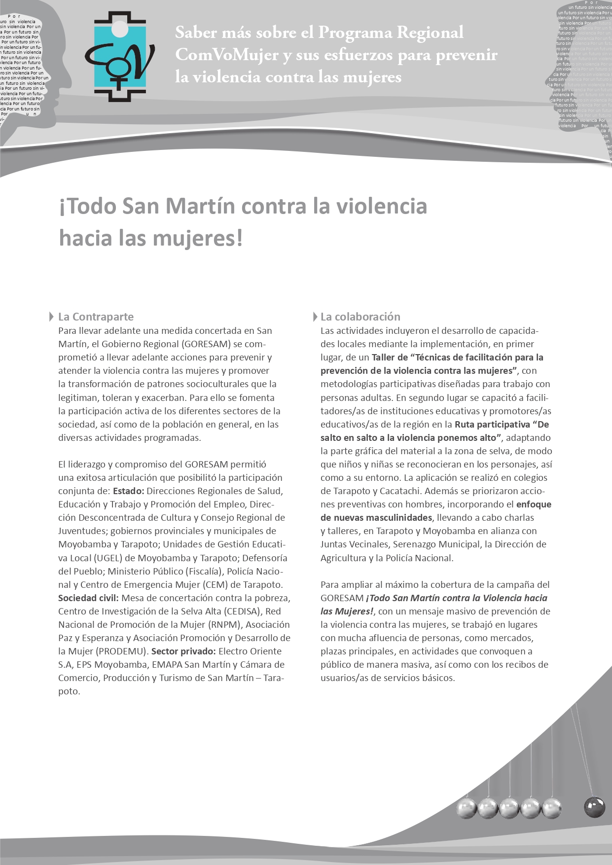 225-2015-es-factsheet-todo San Martin contra la VcM-pe-1_page-0001.jpeg